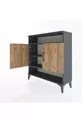 Commode Arges 3 étagères 2 portes Anthracite-Pin