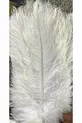 Lampadaire en plume d'autruche