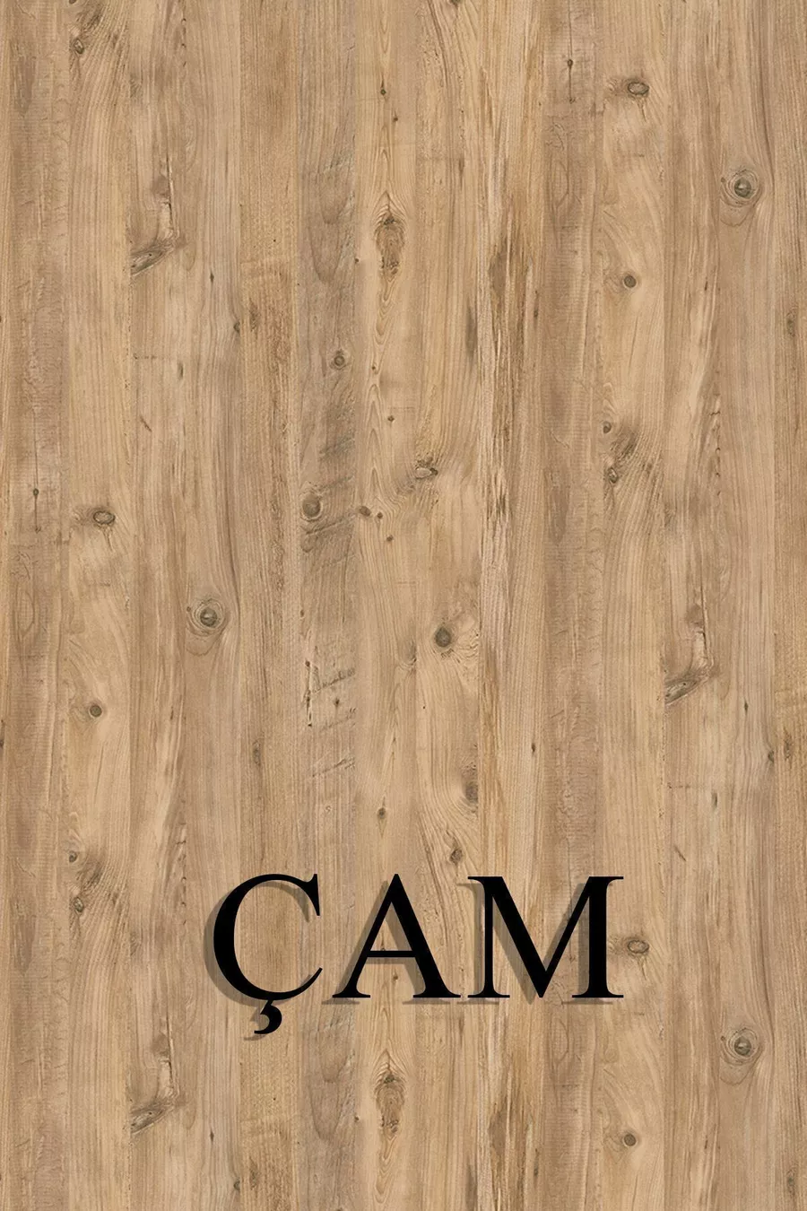 Placard à chaussures à abattant, placard à chaussures à étagères coulissantes, placard à chaussures à 3 compartiments, ange pin-blanc