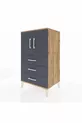 Commode Hyperion à 2 étagères, 3 tiroirs, 2 portes, pin-anthracite