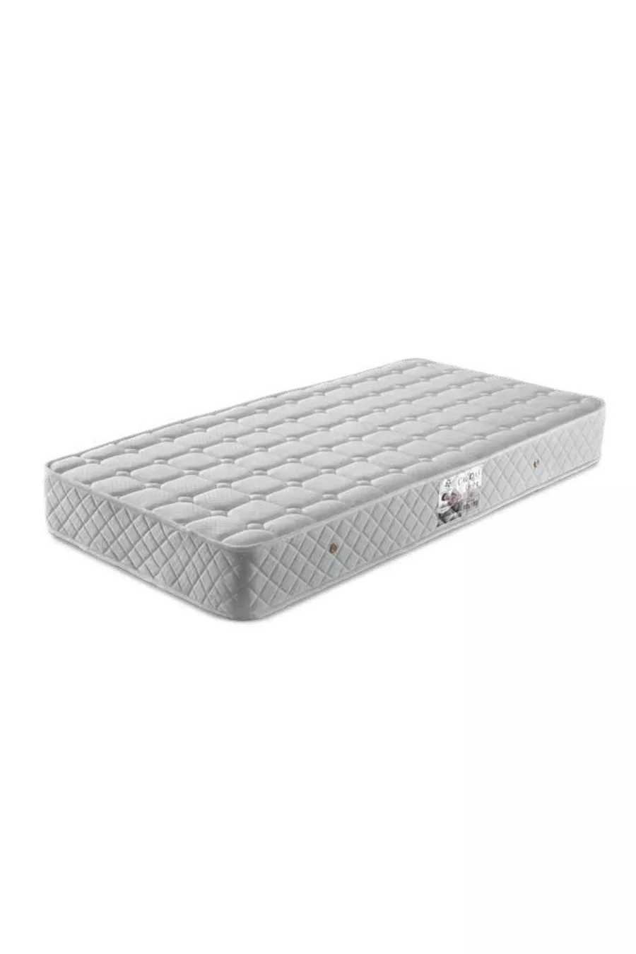 ENSEMBLE LIT BASE LIGHT
