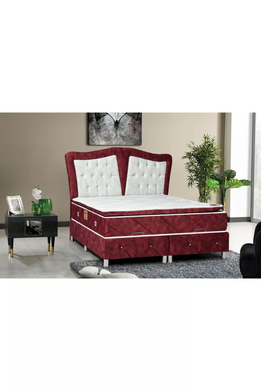 Ensemble de viole Double