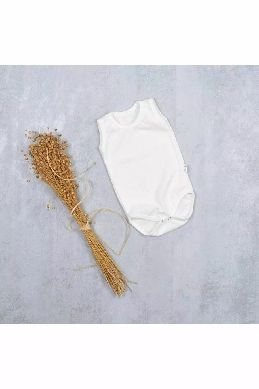 Ensemble de 5 Bodys Bébé Basique en Jersey à Col Rond