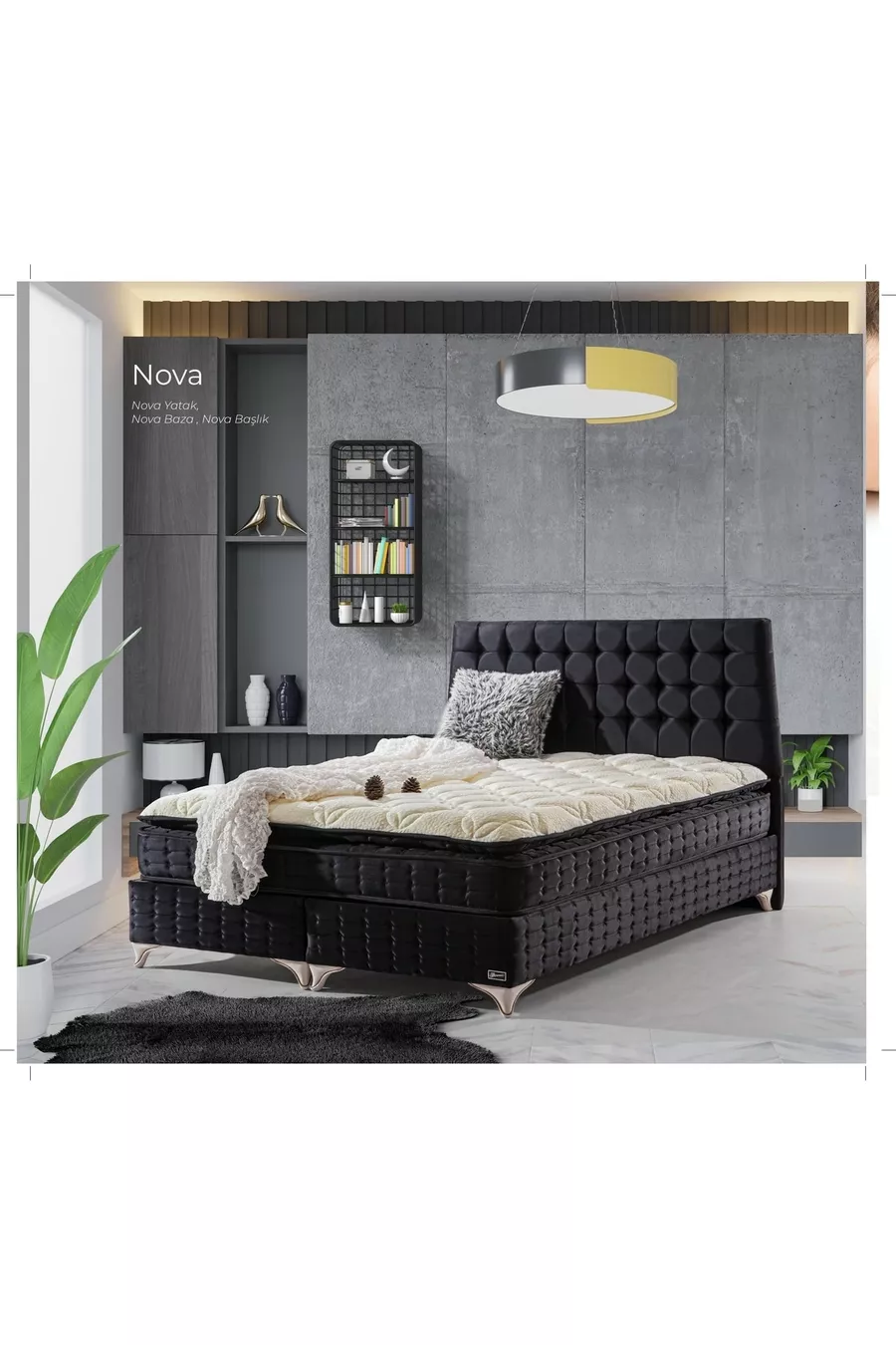 Ensemble Nova Noir