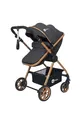 Esse Gold Travel Système Poussette Bébé Système de Voyage